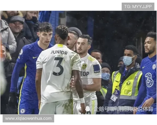 小雷德克纳普批哈弗茨倒地无点球过于荒唐